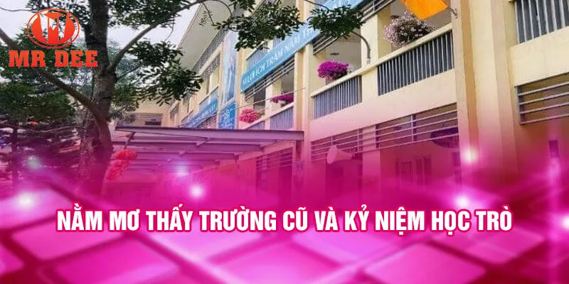 Nằm mơ thấy trường cũ và kỷ niệm học trò