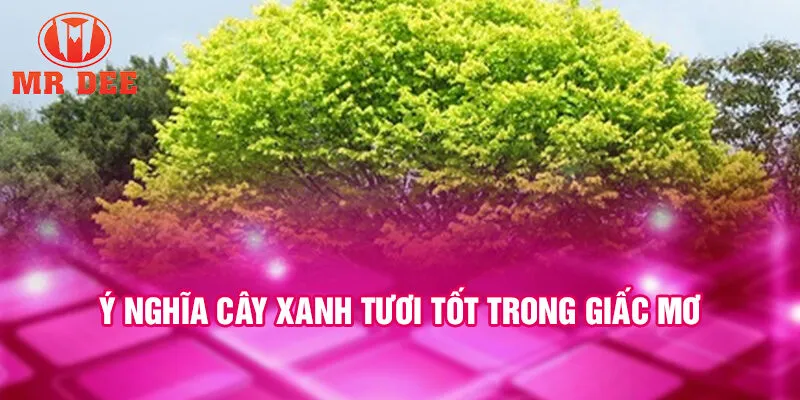 Ý nghĩa cây xanh tươi tốt trong giấc mơ