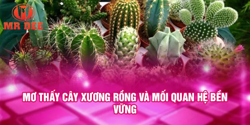 Mơ thấy cây xương rồng và mối quan hệ bền vững
