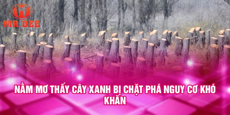 Nằm mơ thấy cây xanh bị chặt phá nguy cơ khó khăn
