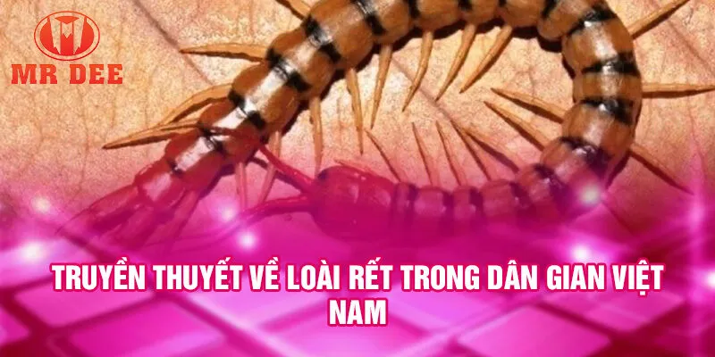 Truyền thuyết về loài rết trong dân gian Việt Nam