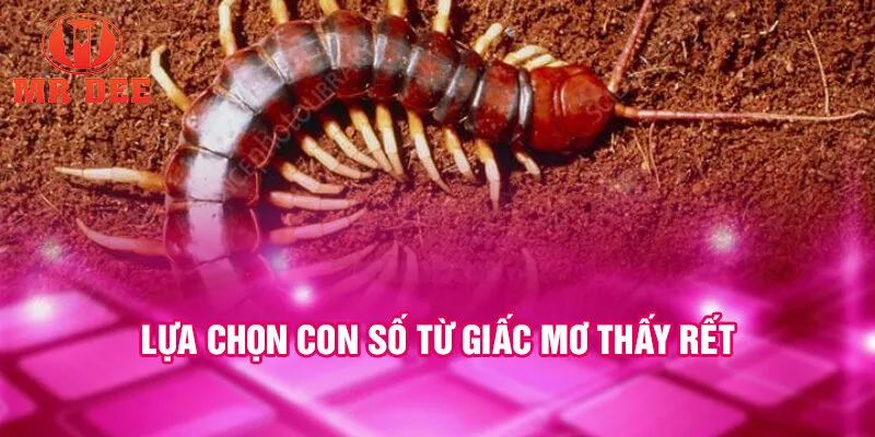 Lựa chọn con số từ giấc mơ thấy rết
