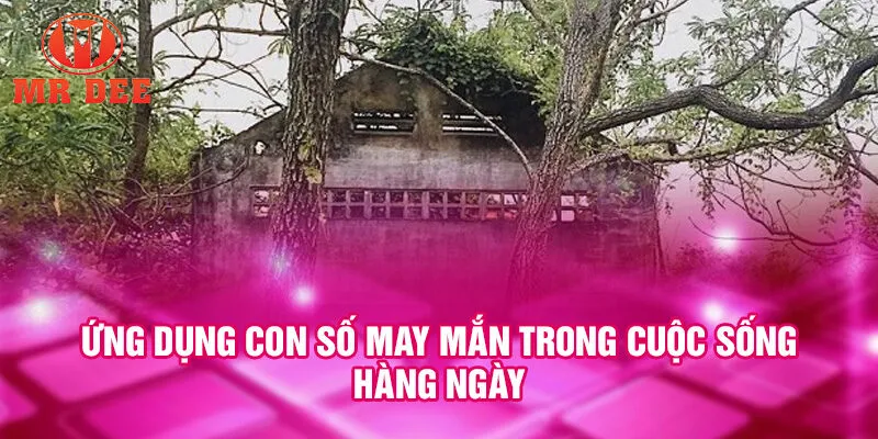 Ứng dụng con số may mắn trong cuộc sống hàng ngày