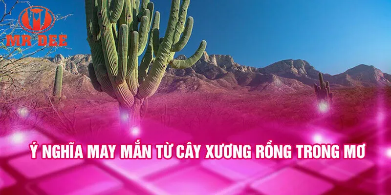Ý nghĩa may mắn từ cây xương rồng trong mơ